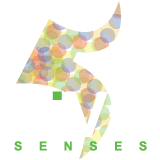 Five Senses